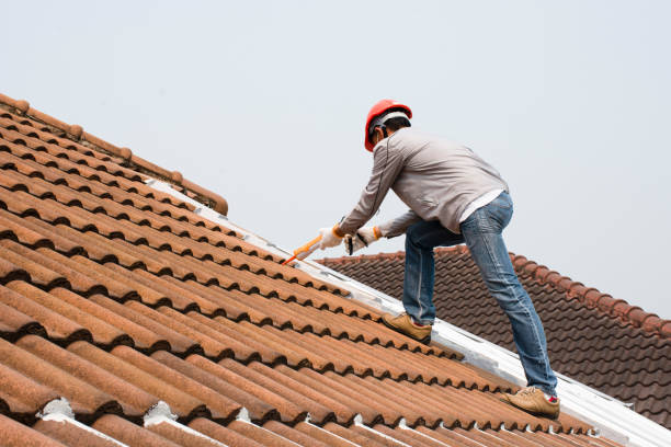 Best Asphalt Shingle Roofing  in Westwood, PA